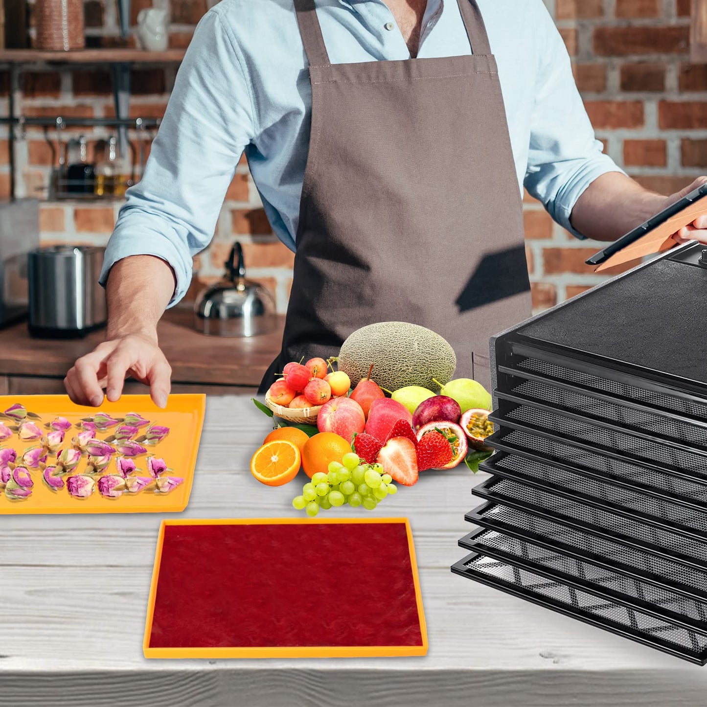 6 Pcs Silicone Dehydrator Sheets for 14" x 14" Trays